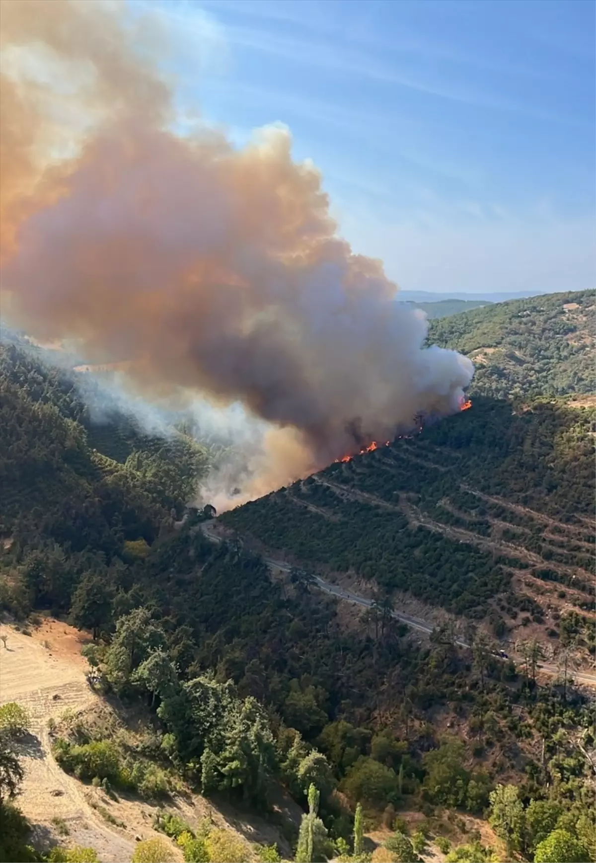 Balıkesir’de Araç Kazası Sonrası Orman Yangını
