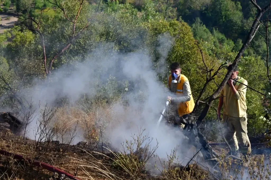 Balıkesir’de Kamyon Kazası ve Orman Yangını Kontrol Altına Alındı