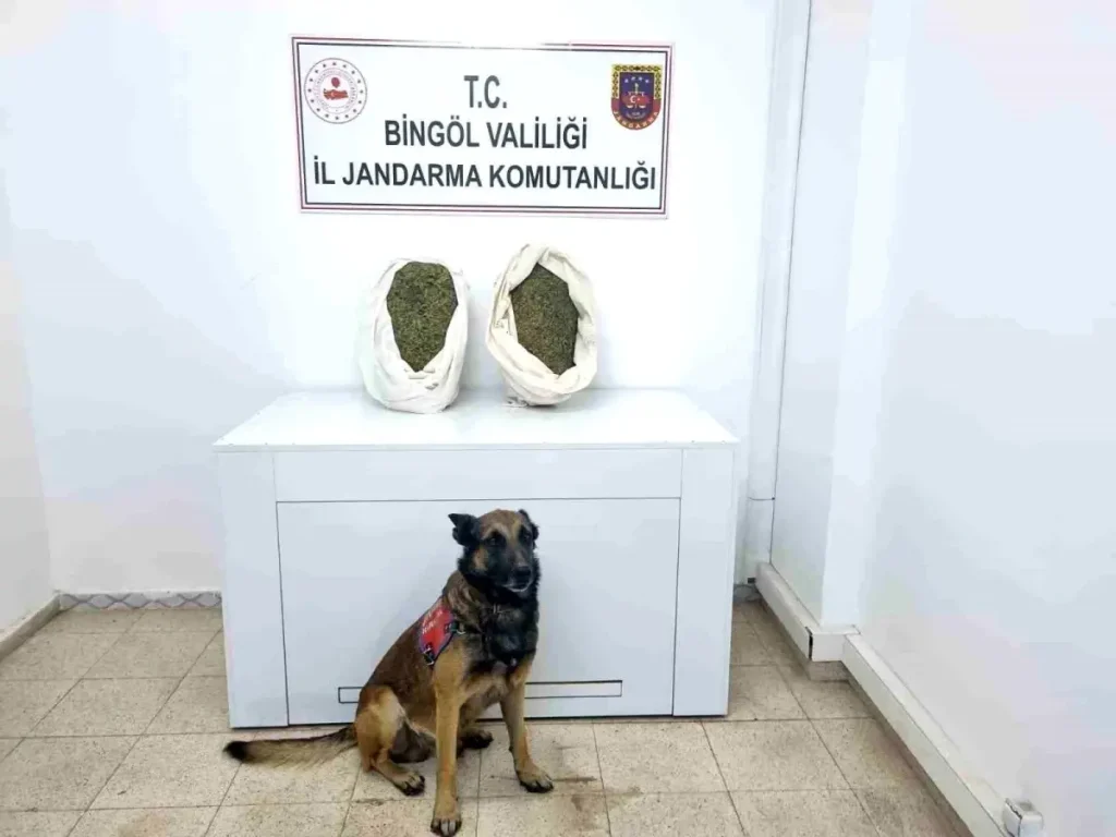 Uyuşturucu Operasyonunda 10 Kilo Esrar Ele Geçirildi