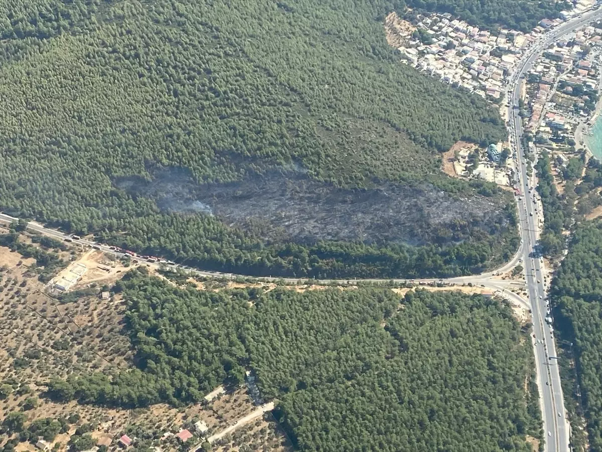 Bodrum’daki Orman Yangını Kontrol Altına Alındı