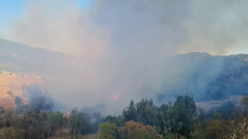 Burdur’da Ağlasun İlçesinde Ormanda Yangın Çıktı