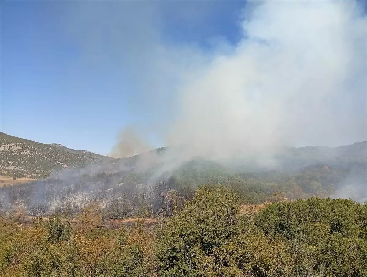 Ağlasun’da Ormanya Etkisiyle Kontrol Altına Alındı