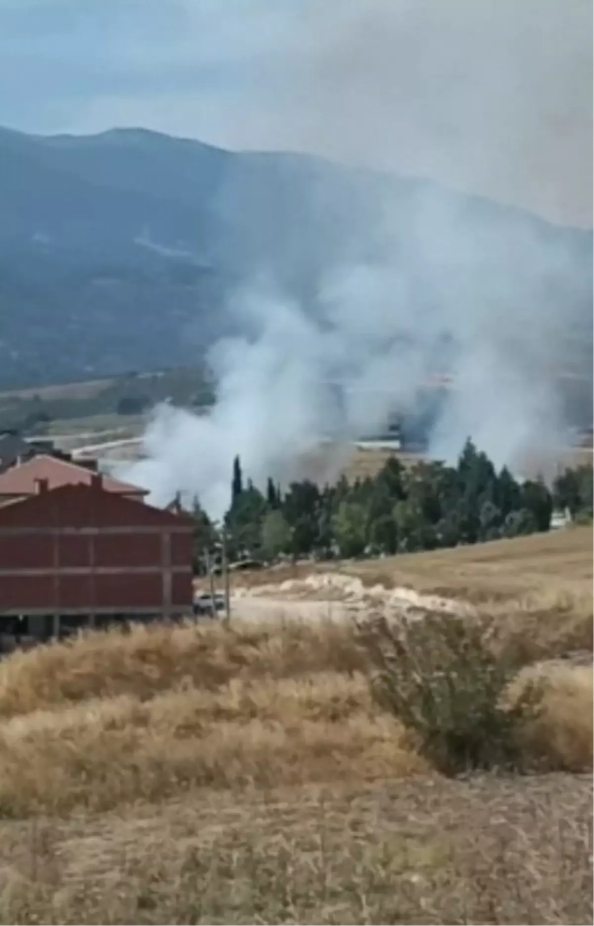 “Bursa’da Anız Yangını: 30 Dönüm Alan Zarar Gördü”