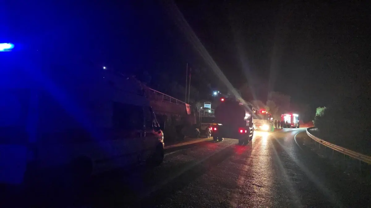 Bursa’da Gece Çıkan Anız Yangını Kontrol Altına Alındı