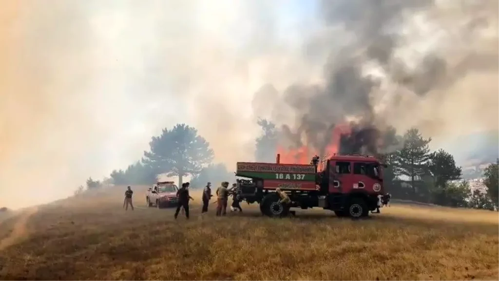 Bursa’daki Orman Yangını Kontrol Altına Alındı