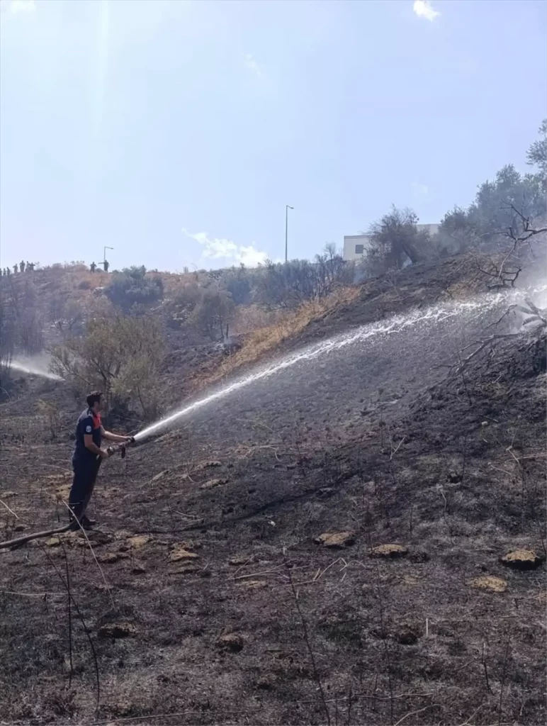 Zeytinlik Alanda Çıkan Yangın Kontrol Altına Alındı