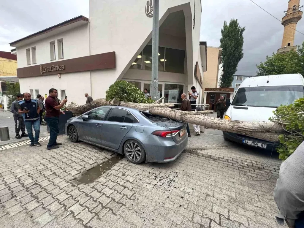 Ağrı’da Ağaç Devrildi, Otomobil Hasarlandı