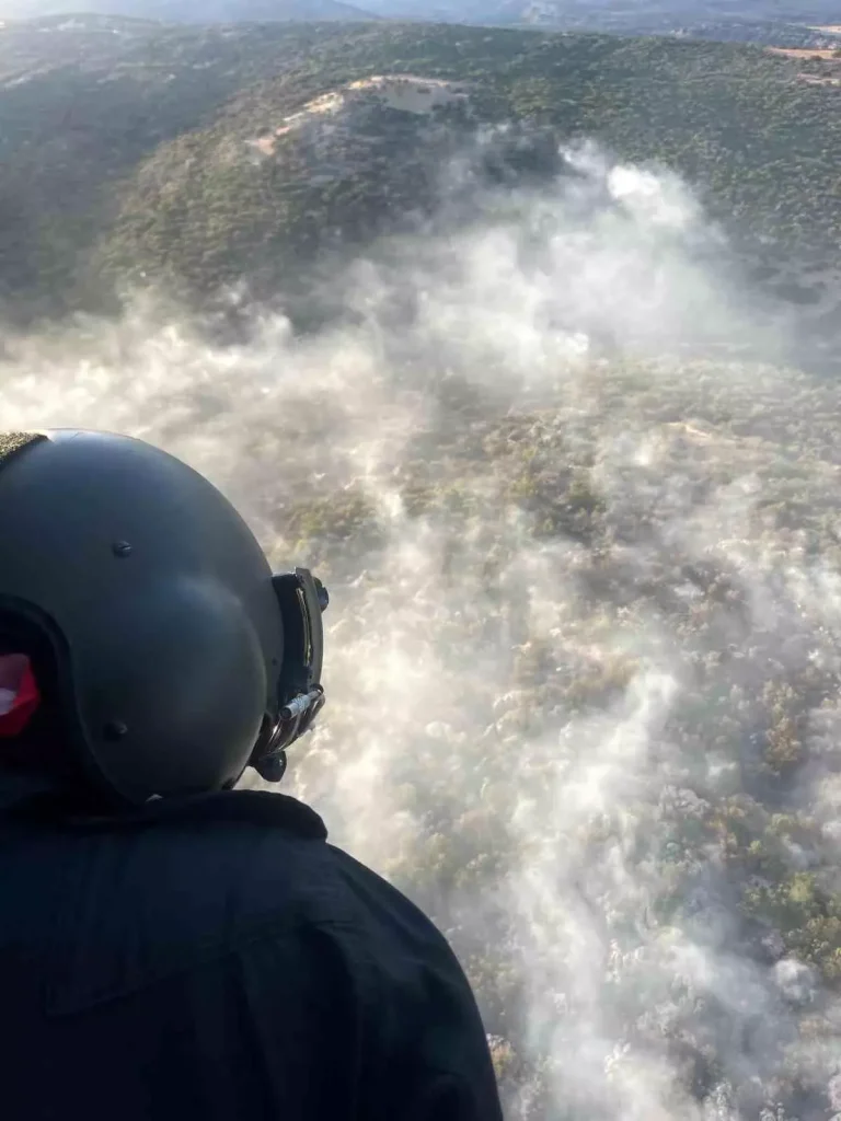 Diyarbakır’da Tekrarlayan Orman Yangını Kontrol Altına Alındı