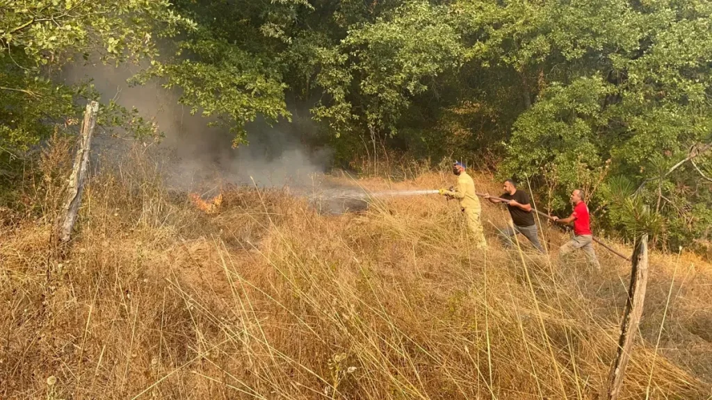 Düzce’de Ormana Yangını 9 Saatlik Mücadeleyle Kontrol Altına Alındı