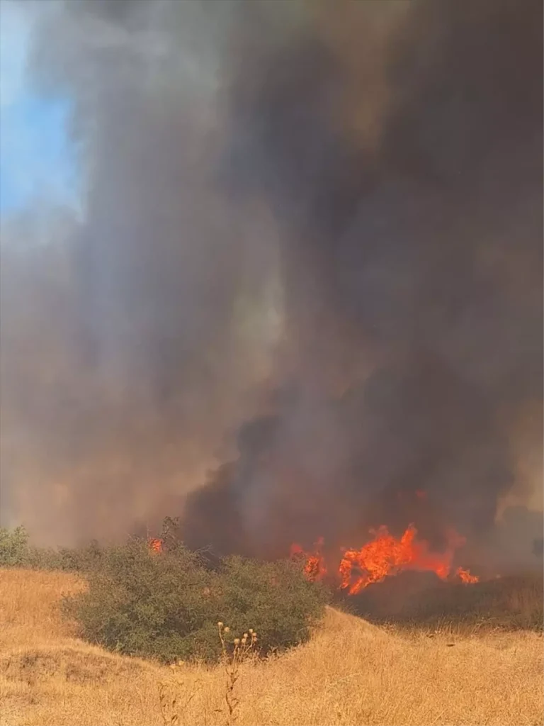 Edirne’de Anız Yangını Ağaçlık Alana Sıçradı