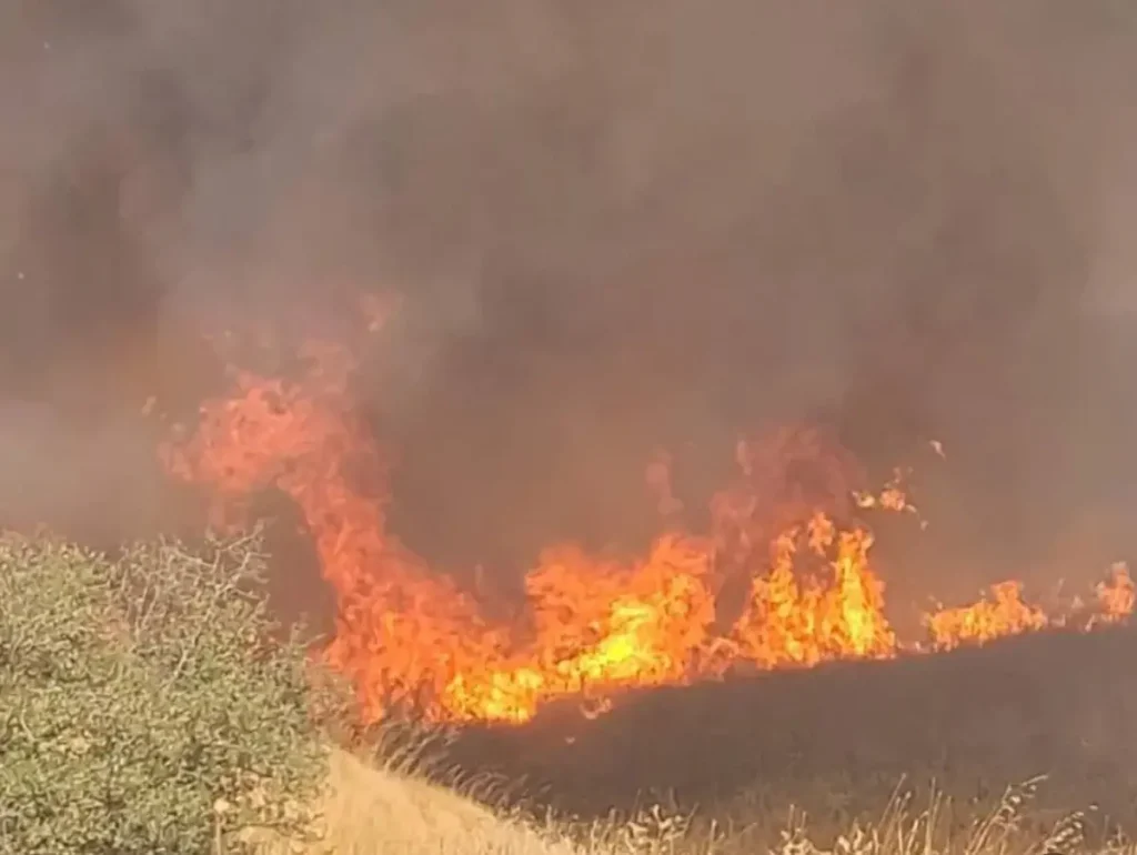 Edirne’de Buğday Tarlasında Yangın: 1000 Dekar Zarar