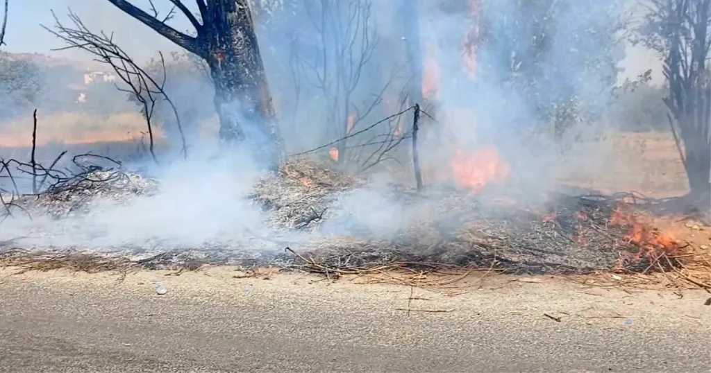 Efeler’de Yol Kenarı Yangını Kontrol Altına Alındı