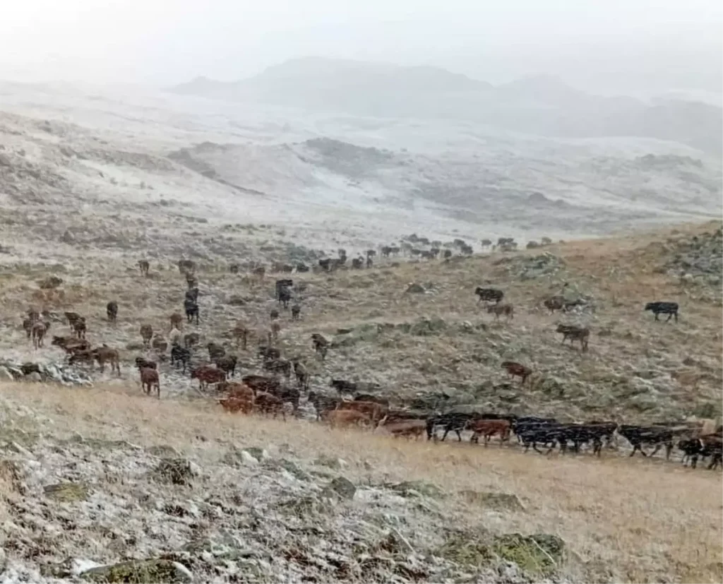 Erzurum’da Yüksek Kesimlere Kar Yağdı