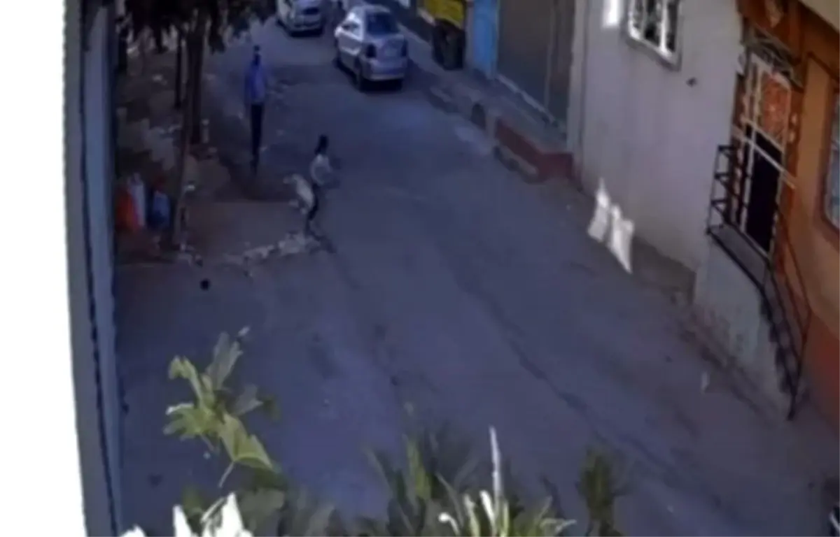 Cinsel İstismar İddiası ile Şahıs Tutuklandı