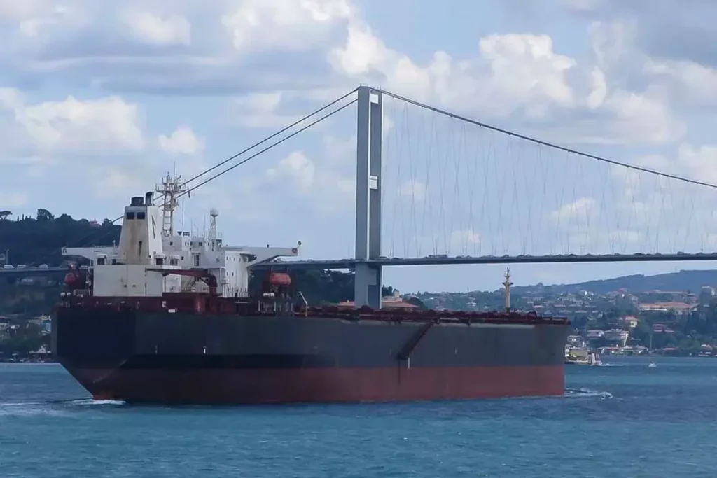 İstanbul Boğazı’nda Gemi Trafiki Askıya Alındı