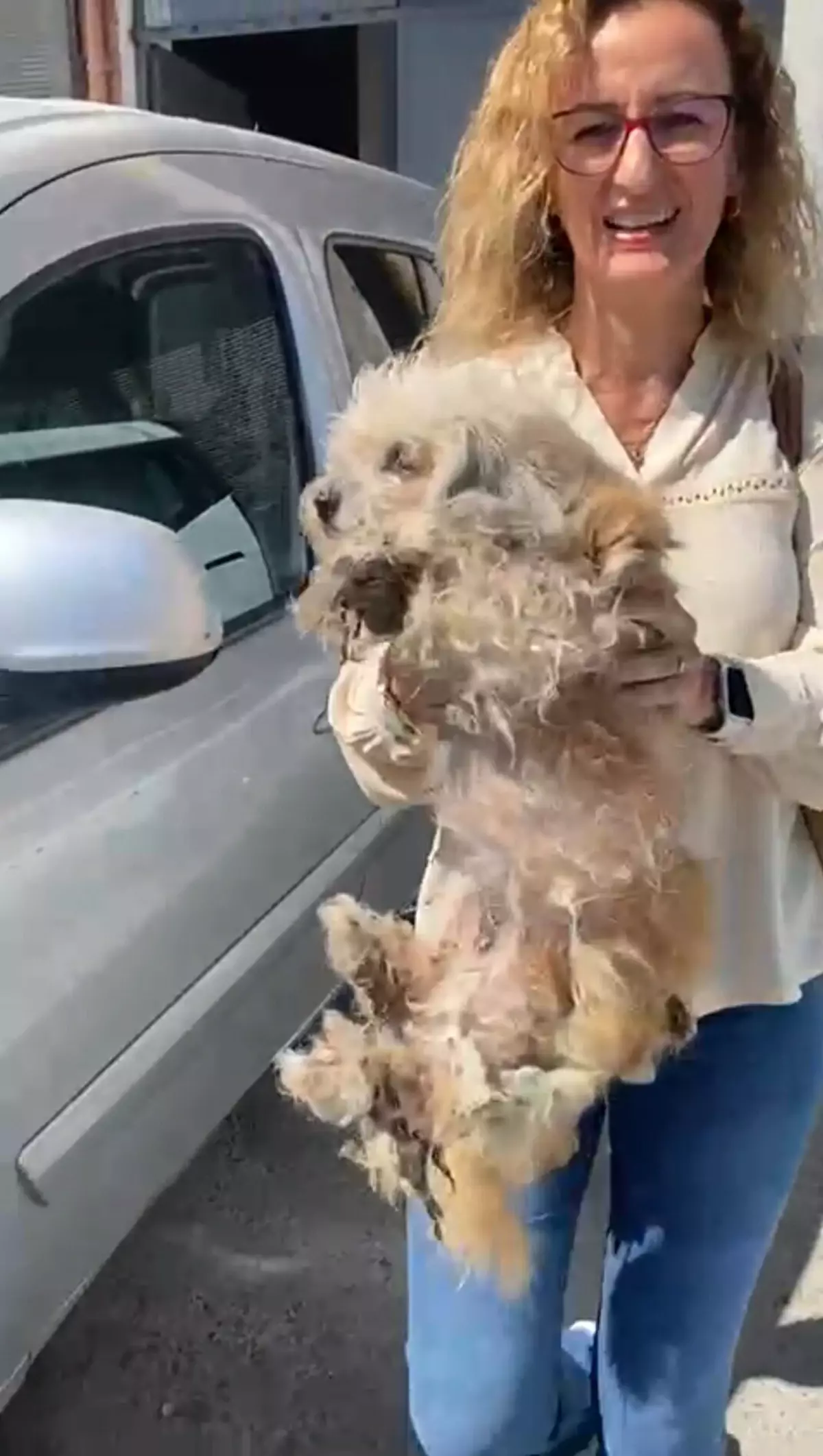 İzmir’de 20 Köpeği Sağlıksız Evde Tutan Kadına Ceza