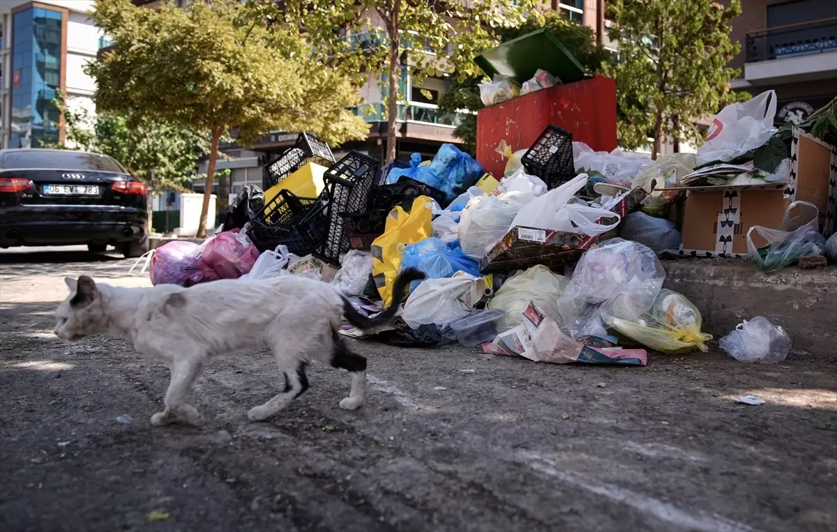 İzmir Karşıyaka’da Çöp Krizi: Halk Tepki Gösteriyor
