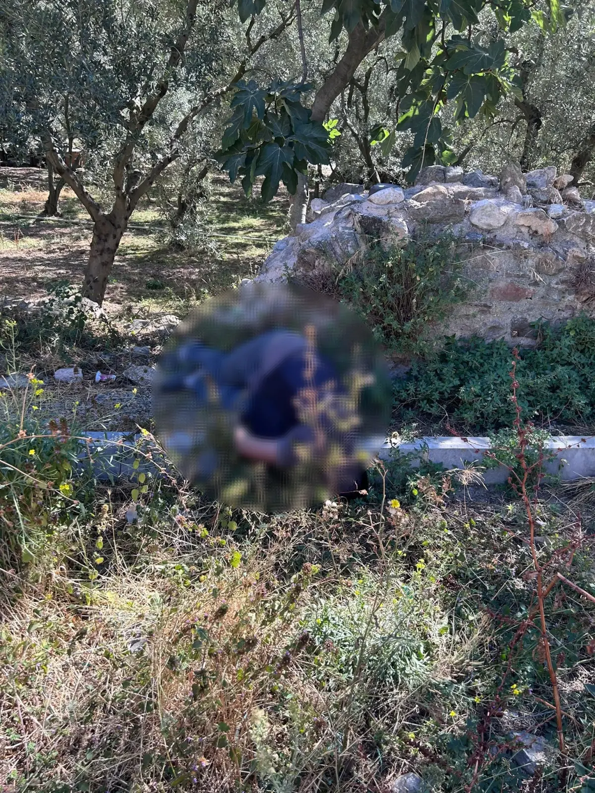 Tarihi Surların Dibinde Ceset Bulundu: Kimlik Belirlendi