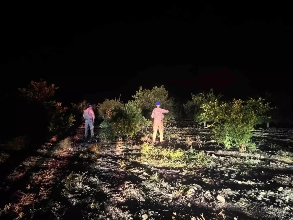 Hatay’da Narenciye Hırsızlığına Karşı Geniş Güvenlik Önlemleri