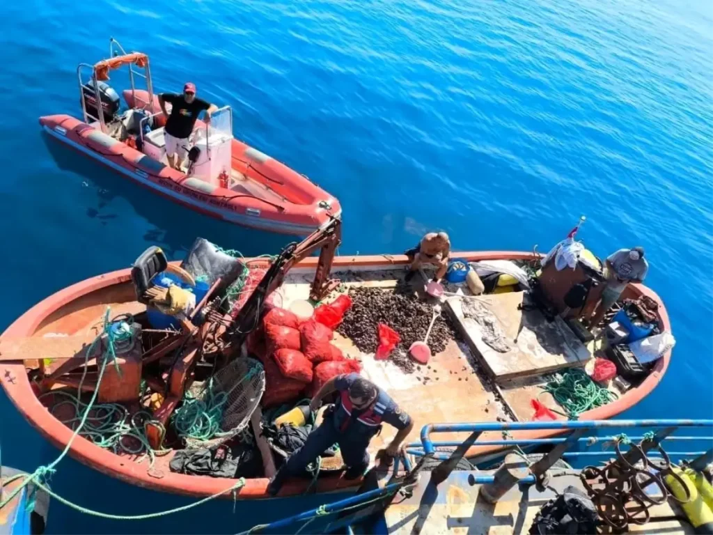 Ruhsatsız Gemi ile Avlanan Midyeler Denize Bırakıldı