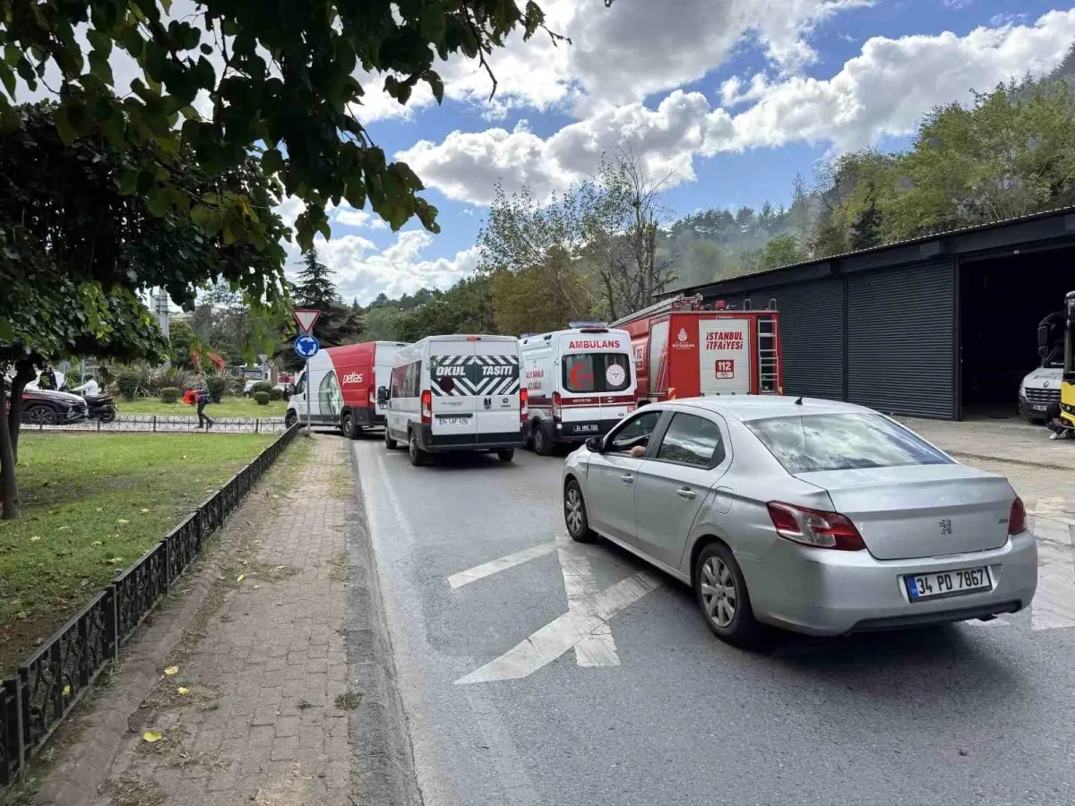 Kağıthane’de Ağaçlık Alan Alev Alev Yandı