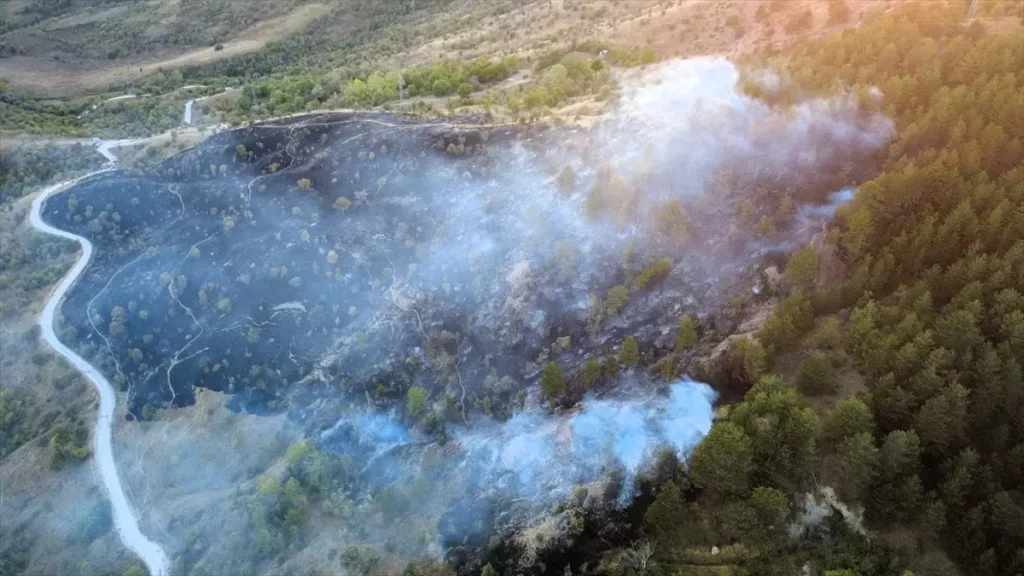 Karabük’te Orman Yangını Kontrol Altına Alındı