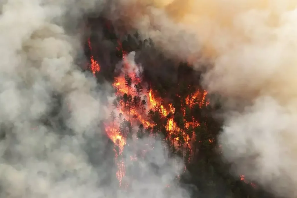 Karabük ve Kastamonu’da Ormana Yangınları