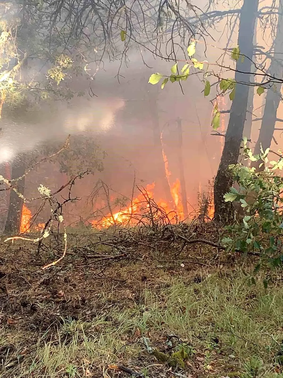 Karabük’te Orman Yangını Kontrol Altına Alınmaya Çalışılıyor