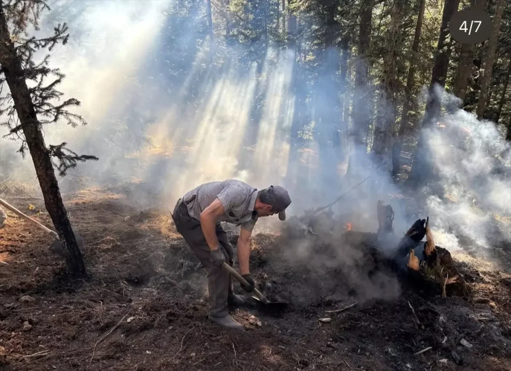 Kastamonu’da Hızlı Müdahale ile Orman Yangını Söndürüldü