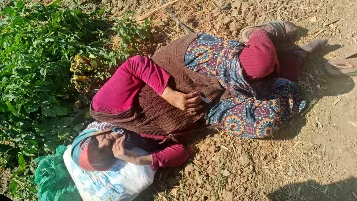 74 Yaşındaki Alzheimer Hastası Hatun Işıksoy Sağ Salim Bulundu