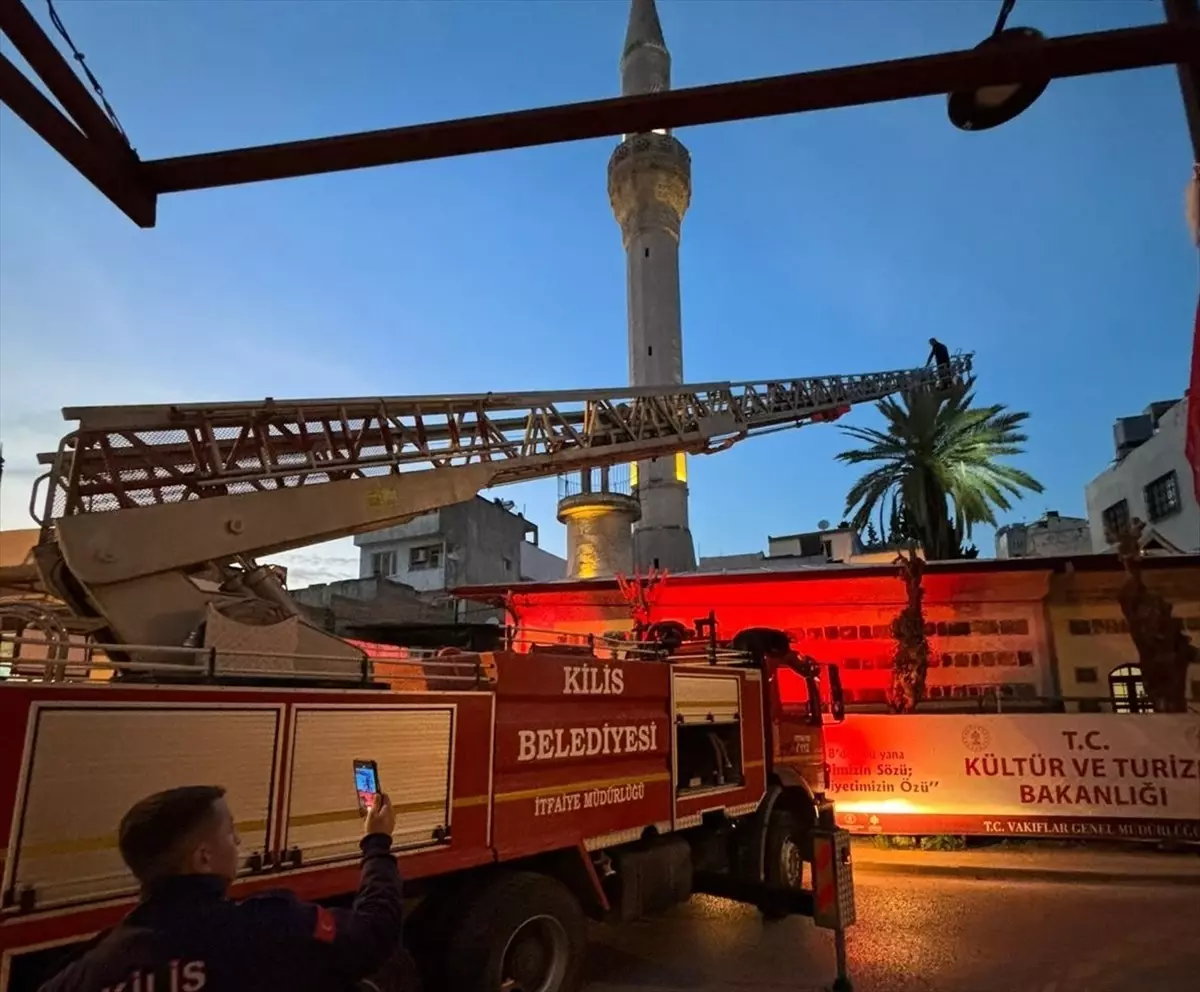 Kedi İtfaiye Ekiplerince Ağaçtan Kurtarıldı