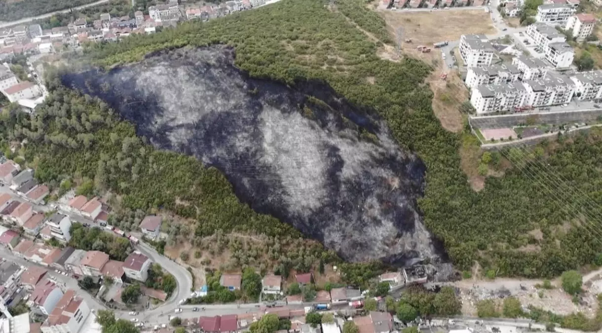 Kocaeli’de Ağaçlık Alanı Kül Eden Yangın Faili Tutuklandı