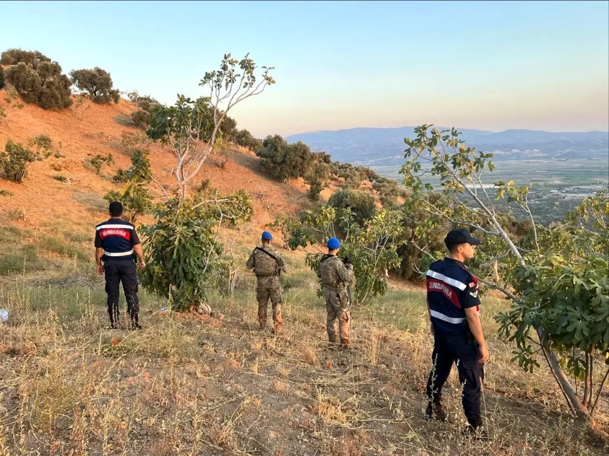 Jandarma Ekiplerinden İncir Hırsızlığına Karşı Güvenlik Tedbirleri