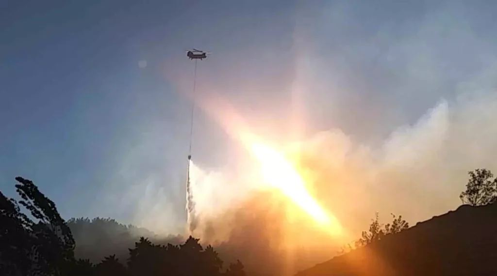 Muğla’nın Köyceğiz İlçesinde Kıyasıya Orman Yangını