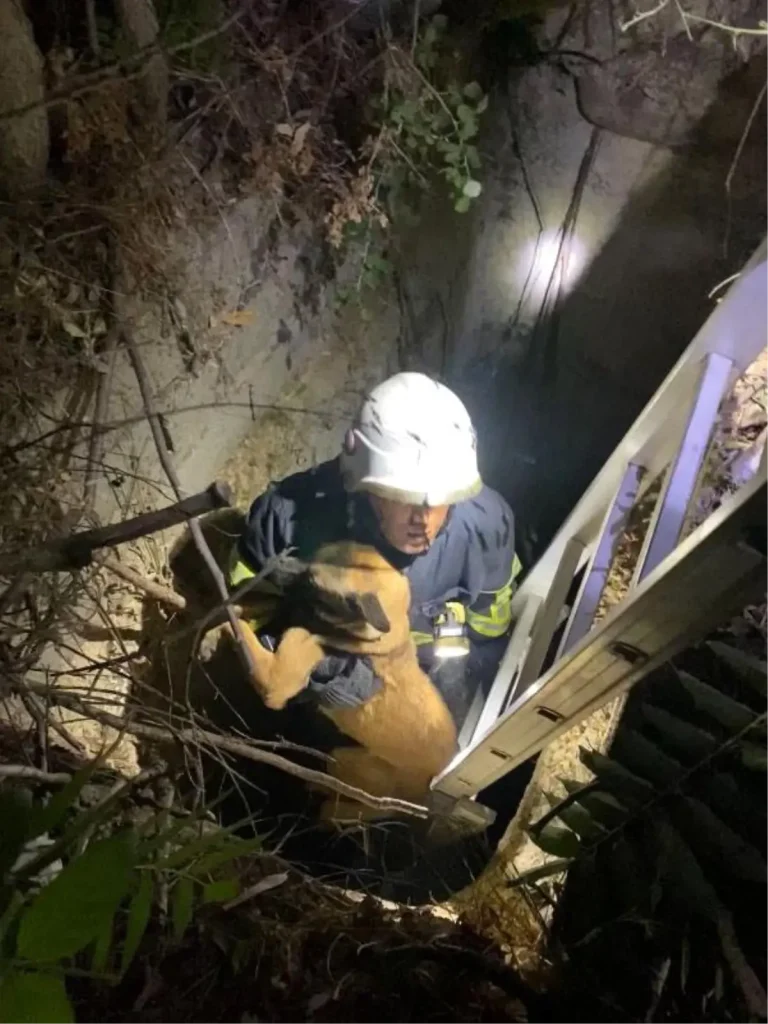 Kuyuya Düşen Köpek İtfaiye Tarafından Kurtarıldı