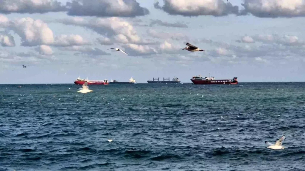 Poyraz Marmara Denizi’nde Ulaşımı Felç Etti