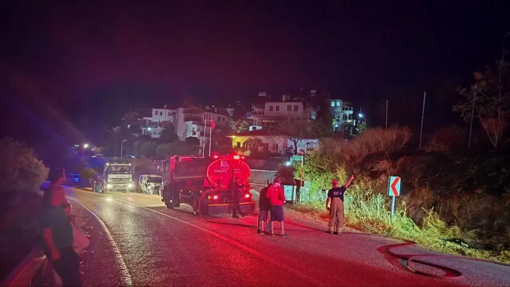 Mudanya’da Otluk Alanda Çıkan Yangın Söndürüldü