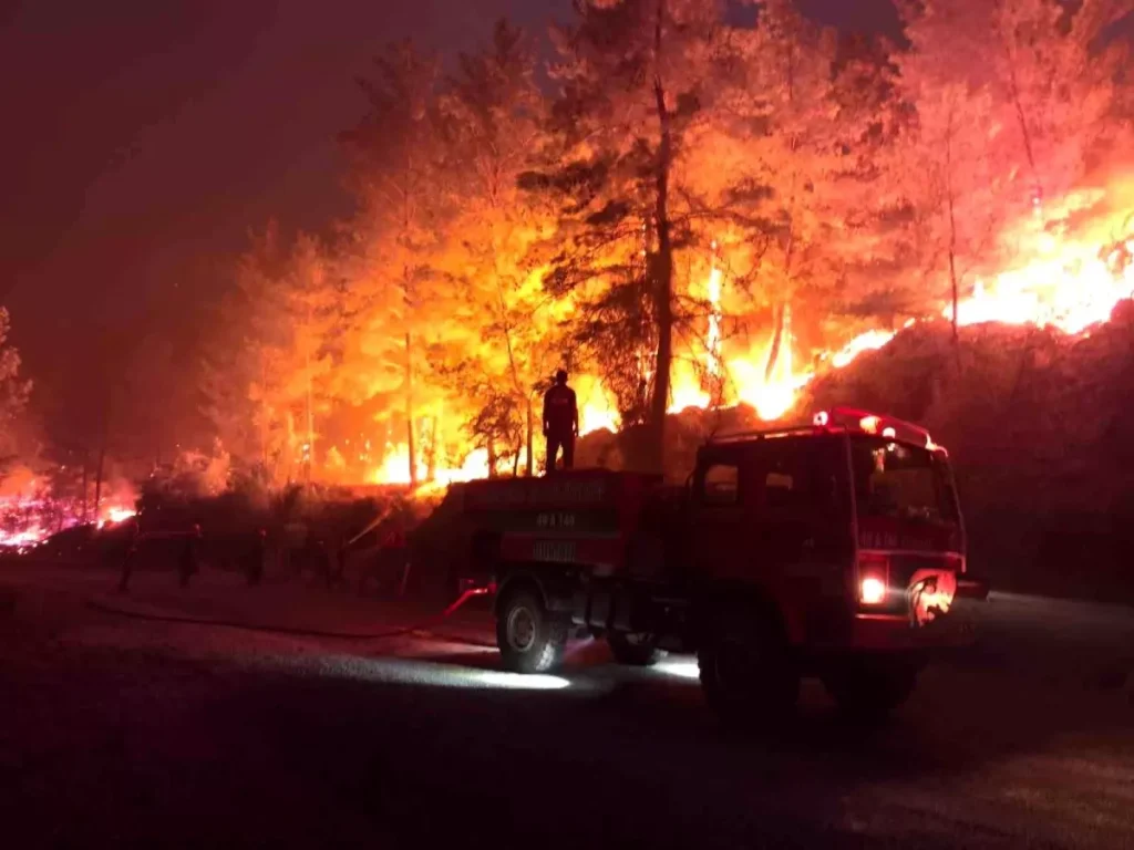 Muğla’da Orman Yangınları: Seferberlik İlan Edildi!