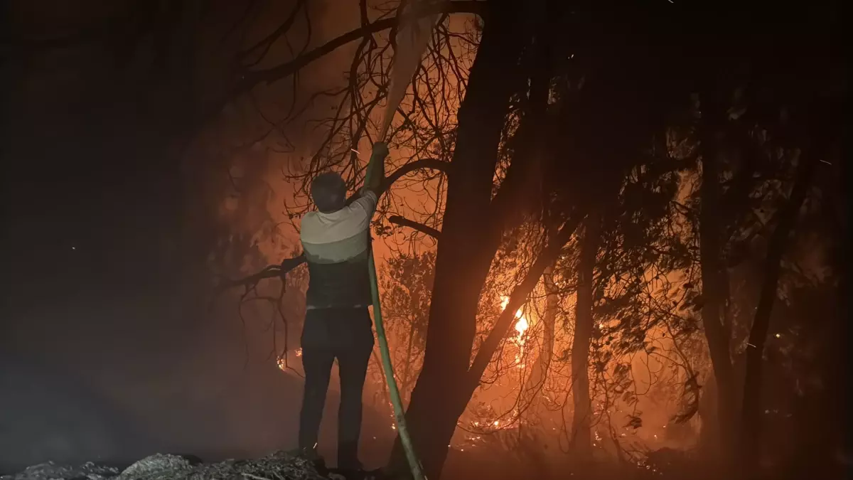 Milas’ta Kıyıkışlacık’ı Kuşatan Orman Yangını