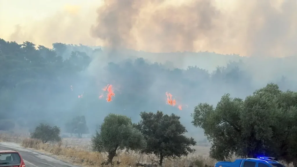 Muğla’da Orman Yangınına Hava Müdahalesi