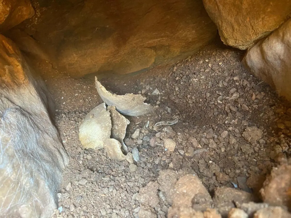 Muğla’da Su Deposu Kazısında Tarihi Mezarlar Bulundu