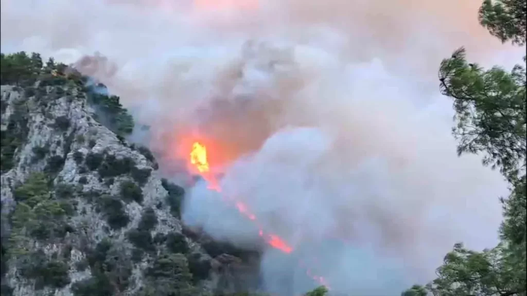 Muğla’da Peş Peşe 7 Orman Yangını: Söndürme Çalışmaları Hızlandı