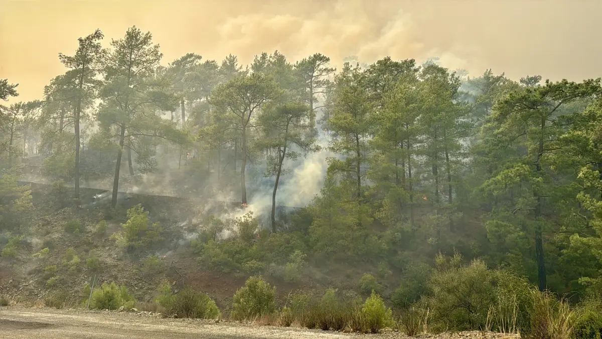 Köyceğiz’de Orman Yangını: Ekipler Çalışmalarını Sürdürüyor