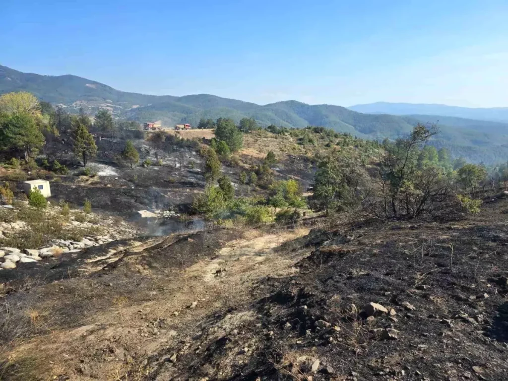 Mangaldan Sıçrayan Yangın Helikopterle Söndürüldü