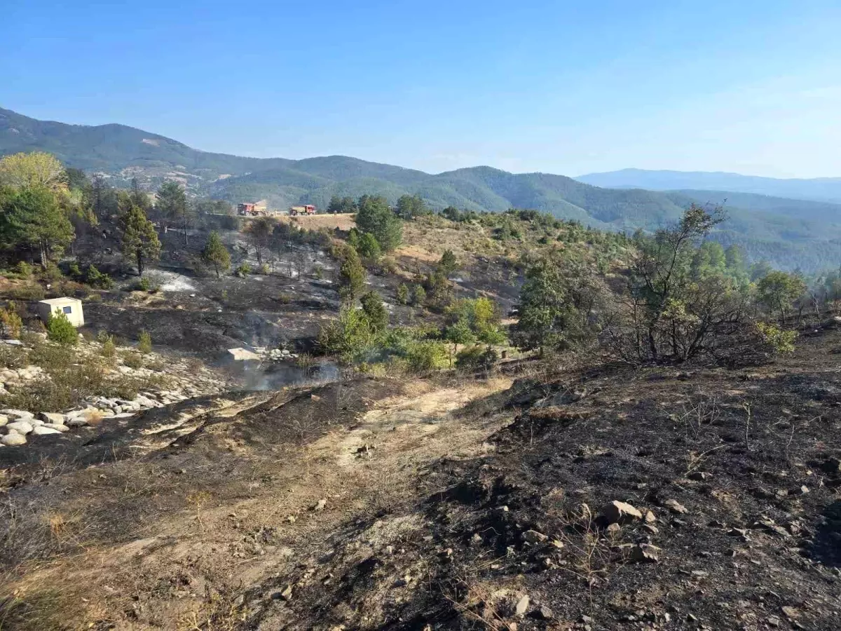 Mangaldan Sıçrayan Yangın Helikopterle Söndürüldü