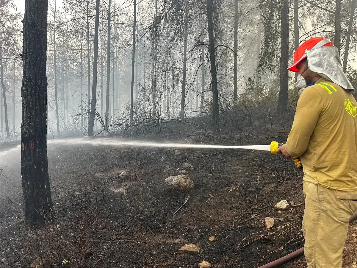 Osmaniye’de Orman Yangını Kontrol Altına Alındı