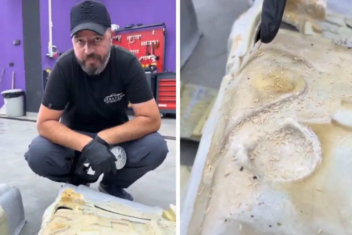 “Süt Dökülmüş Araçta Şok Eden Görüntü”