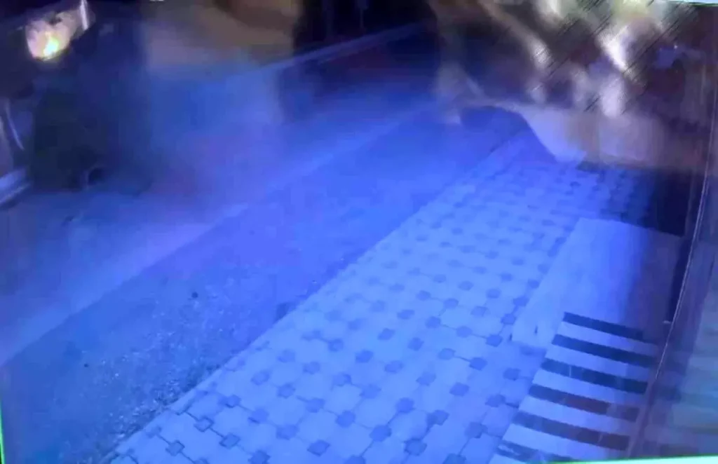 Hatay’da Otomobil Ağaca Çarptı: 3 Yaralı