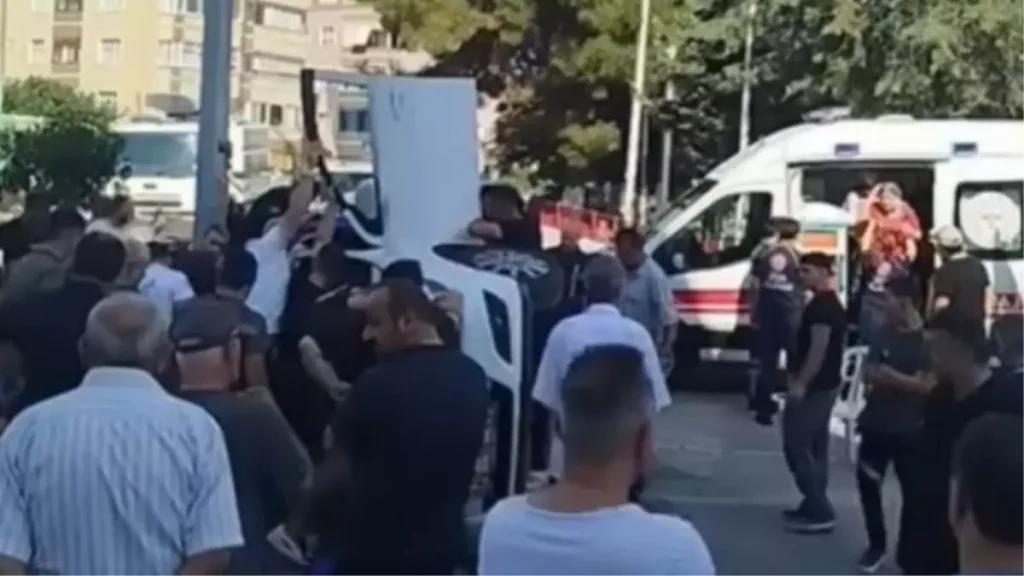 Arı Sürüüsü Otomobil Kazasına Yol Açtı