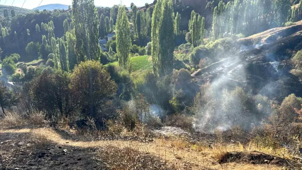 Malatya’da Bahçe Yangını Kontrol Altına Alındı